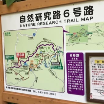 高尾山〜城山〜景信山（奥高尾 縦走）