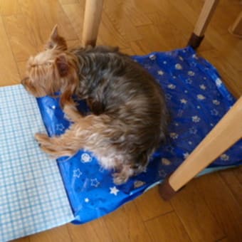 全身くまなく冷やすには