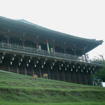 2001 奈良夏⑦ 東大寺 2001/8/16