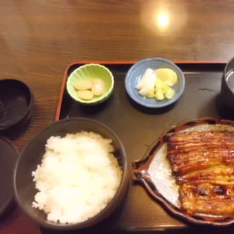 三島ウナギでつなぁ～