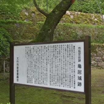 地元エリアに３隻の客船って事で、うろうろドライブ、、、その１（計２）５８枚