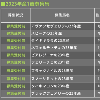 タイキレーシング　２３年産　まもなく募集開始