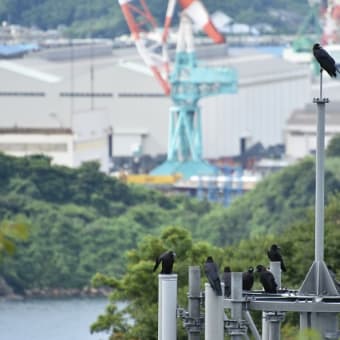 ひょんな事からレロな夜、、、