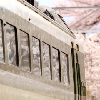 あと何回、桜を映すのだろうか