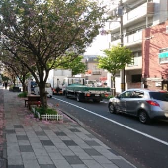 毎日が自粛