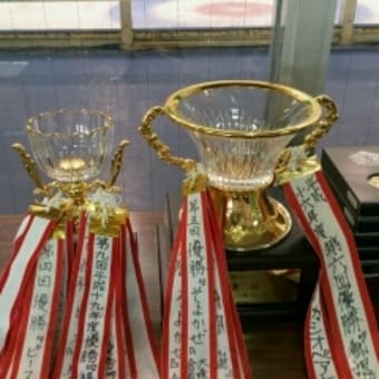 岩手県知事杯カーリング大会