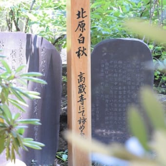 花の寺　高蔵寺