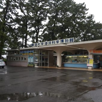 清水に日帰り旅