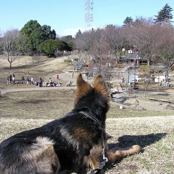 岸根公園で遊ぶ