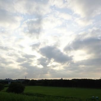職業に貴賤あり？