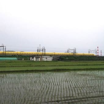 静岡県 in ドクターイエロー　２