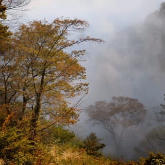 鎌倉山の雲海