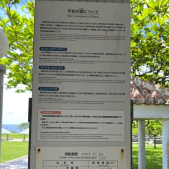 遠く離れても、沖縄を想う従姉妹♡