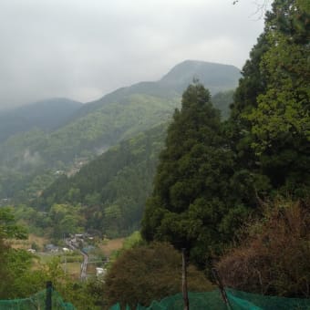 令和7年5月12日・今朝の東祖谷10℃（10.5℃）