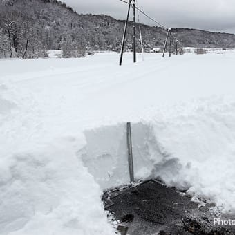 ドカ雪