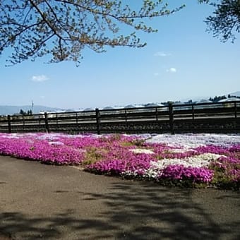 すすきがわじんじゃ
