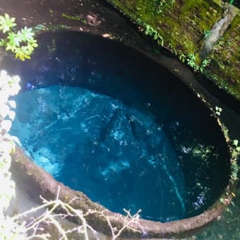 柿田川湧水と豆腐の定食