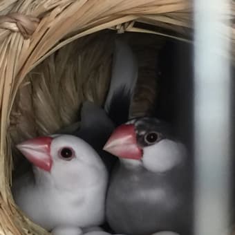 力を抜こう〜