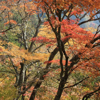 秋の北九州を訪ねて
