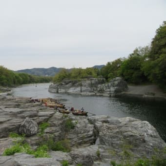 バスツアー!(^^)!　羊山公園『芝ざくら』