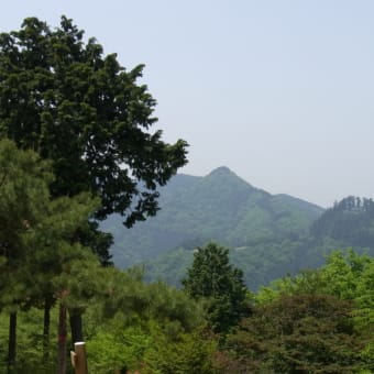 2011,5,21関東　新緑の登山(ハイキング)3　奥多摩・日ノ出山