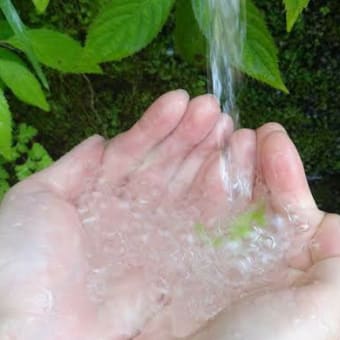 検索ワード「　朝湯　」