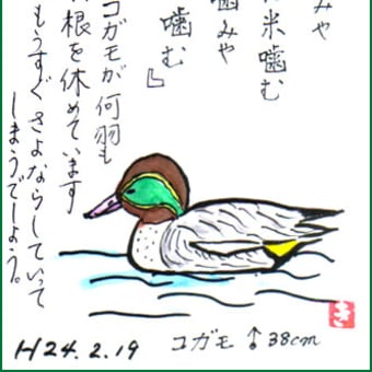 Bhkjp3eqbkox3m Bhkjp3eqbkox3m