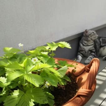 職務怠慢