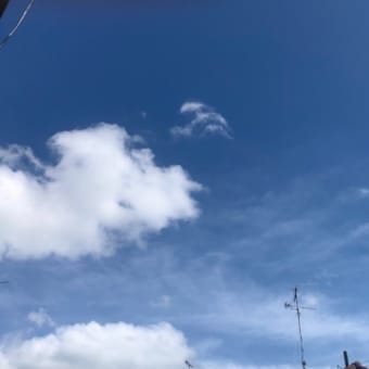 ニュースと天気予報7/14 ☔️は大して降らない❓