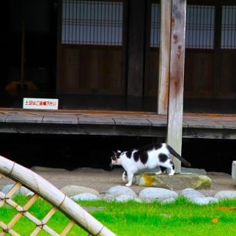 【土足はご遠慮下さい】。。。