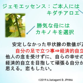 第20回JPHMAコングレス発表症例その５「37歳女性・7歳からの手足の慢性リウマチ」の改善例