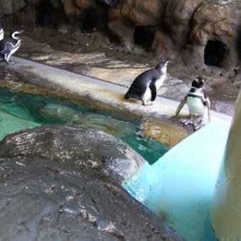 品川水族館