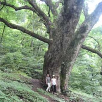 小川山