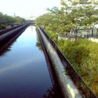 堺　街角　ミュージアム/せせらぎロード/大河の兆し？/神南辺橋付近
