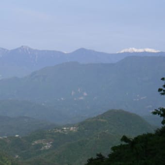 春の早川雨畑川の奥沢谷への釣行