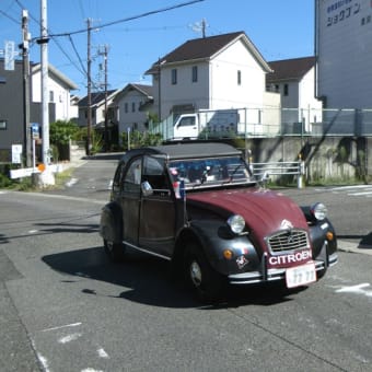 気になる車たち