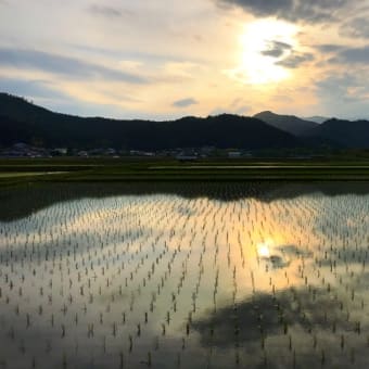 転院完了