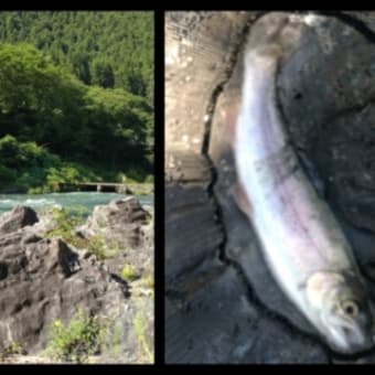 月曜日の釣りは御岳渓谷