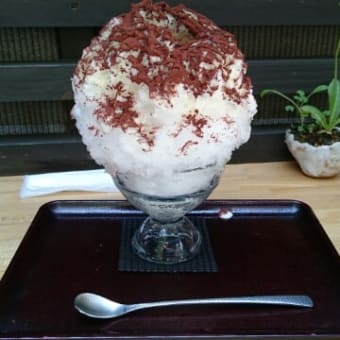 暑いねー