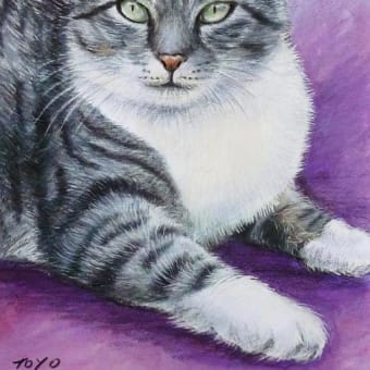 ちじんのあいねこ