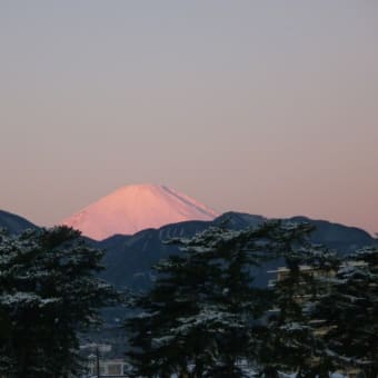 富士山きれいでした！