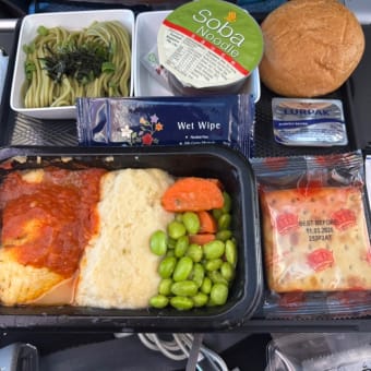 シンガポール3日め② チャンギ空港のラウンジ～シンガポール航空で帰国