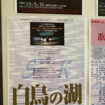 「ラ・バヤデール」吉田早＆＆小野寺正太＆アリサ・アレクセーエワ／日本バレエ協会