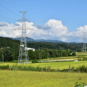 腰痛一年前と全然改善されてません