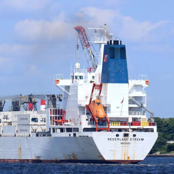 冷凍・冷蔵貨物船 「 NEDERLAND STREAM 」 （ BHS / Seatrade ） 2024年6月 横浜