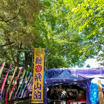 歩き回った定休日