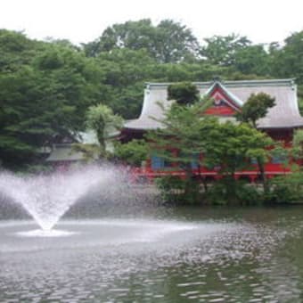 井の頭公園…地雷源…二子玉男前