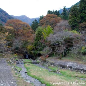 養老の滝
