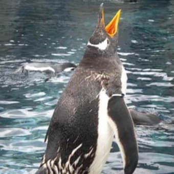 久しぶりの動物園