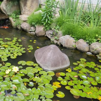 須磨寺参拝